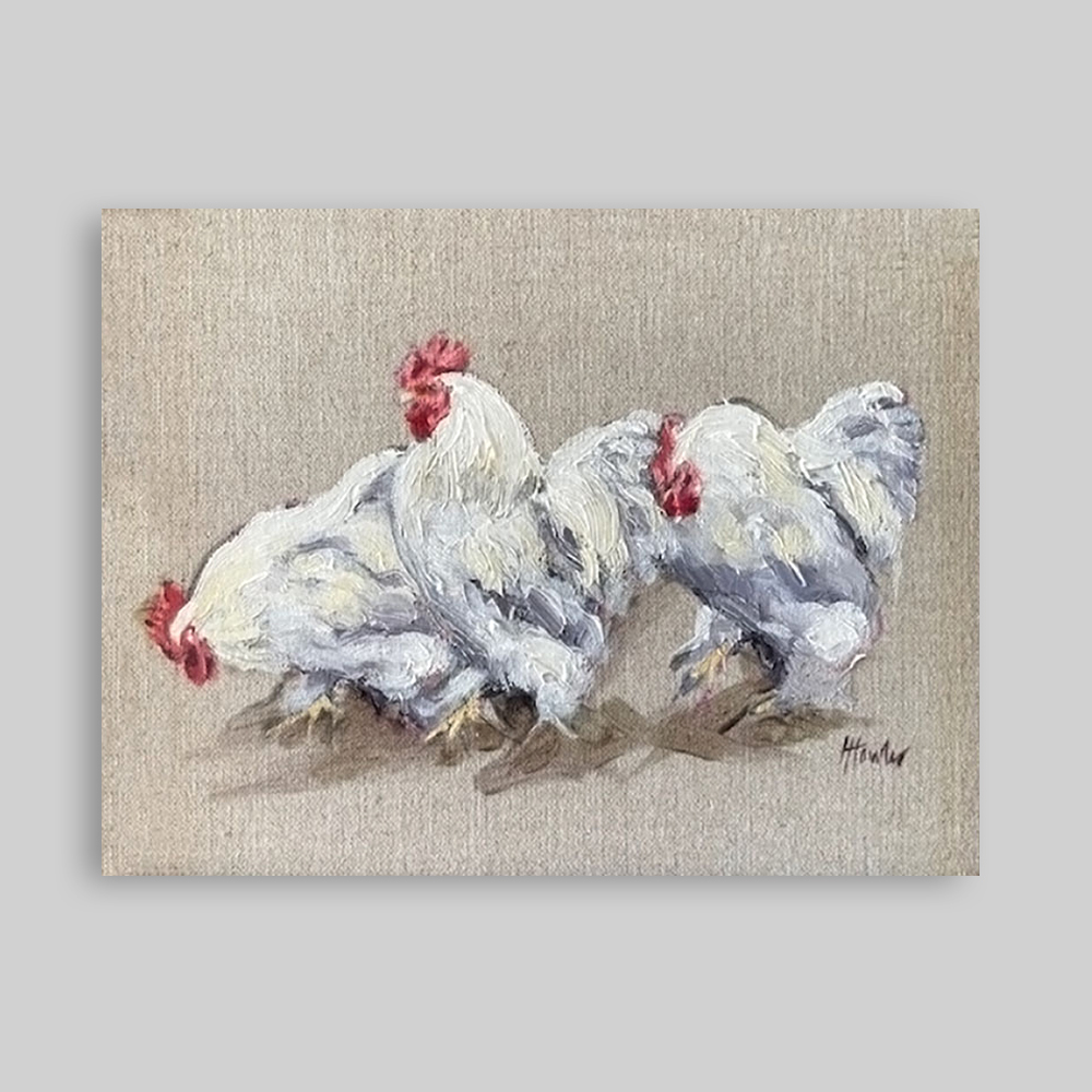 Lavender bantam cockerel