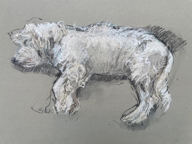 Piglet